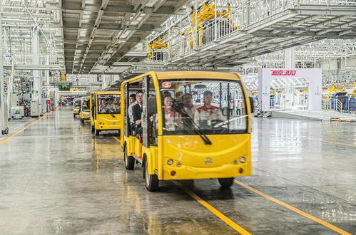 先看后試再下單，長城汽車工廠直銷特賣會狂收訂單572臺